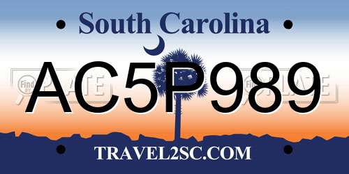 AC5P989 South Carolina License Plate