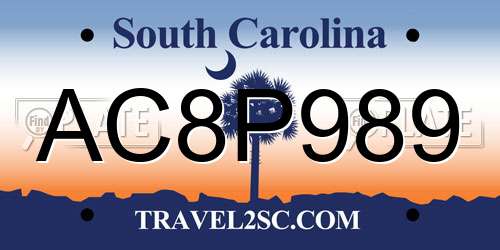 AC8P989 South Carolina License Plate