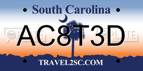 AC8T3D South Carolina License Plate