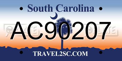 AC90207 South Carolina License Plate