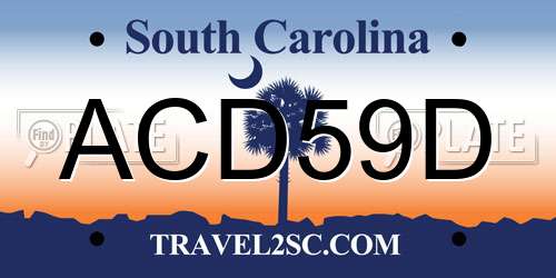 ACD59D South Carolina License Plate