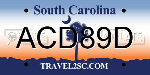 ACD89D South Carolina License Plate