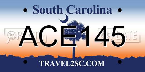 ACE145 South Carolina License Plate