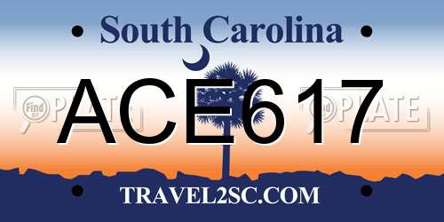 ACE617 South Carolina License Plate