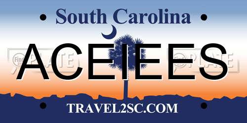 ACEIEES South Carolina License Plate