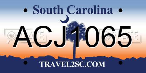 ACJ1065 South Carolina License Plate