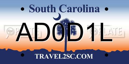 AD0D1L South Carolina License Plate