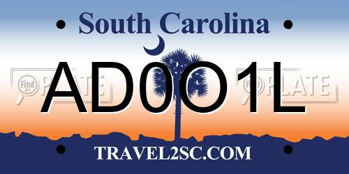 AD0O1L South Carolina License Plate