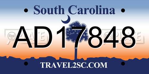 AD17848 South Carolina License Plate