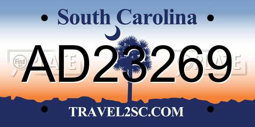 AD23269 South Carolina License Plate