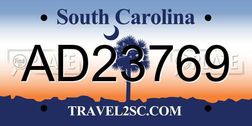 AD23769 South Carolina License Plate