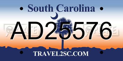 AD25576 South Carolina License Plate