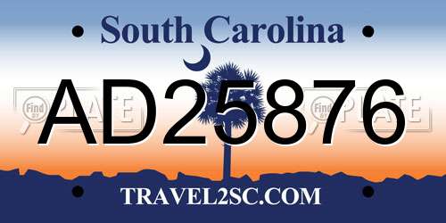 AD25876 South Carolina License Plate
