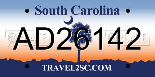 AD26142 South Carolina License Plate