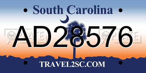 AD28576 South Carolina License Plate