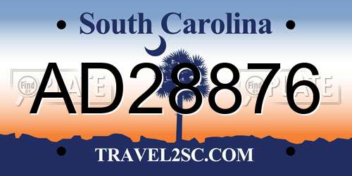 AD28876 South Carolina License Plate
