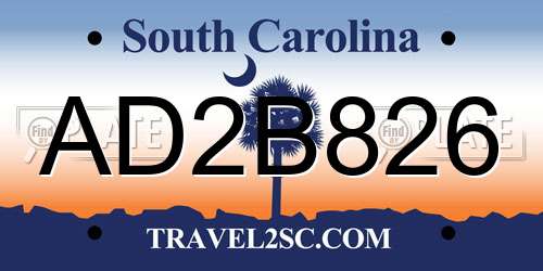 AD2B826 South Carolina License Plate