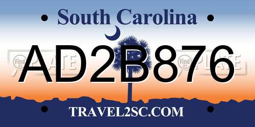 AD2B876 South Carolina License Plate