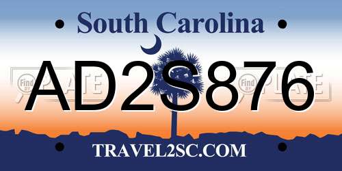 AD2S876 South Carolina License Plate