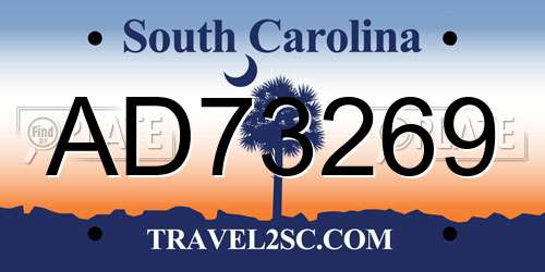 AD73269 South Carolina License Plate