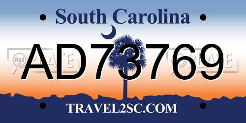 AD73769 South Carolina License Plate