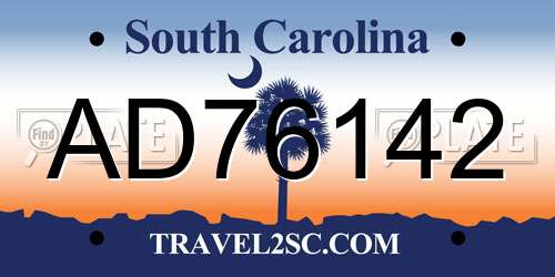 AD76142 South Carolina License Plate