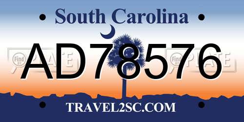 AD78576 South Carolina License Plate