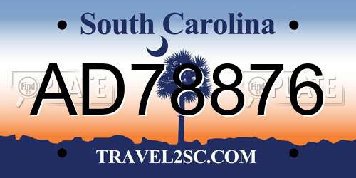 AD78876 South Carolina License Plate