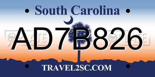 AD7B826 South Carolina License Plate
