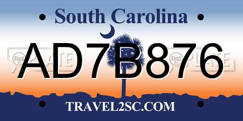 AD7B876 South Carolina License Plate