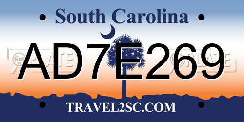 AD7E269 South Carolina License Plate