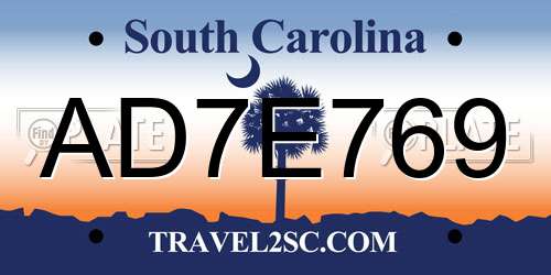 AD7E769 South Carolina License Plate