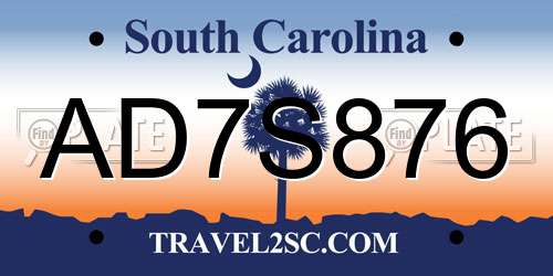 AD7S876 South Carolina License Plate