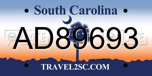 AD89693 South Carolina License Plate