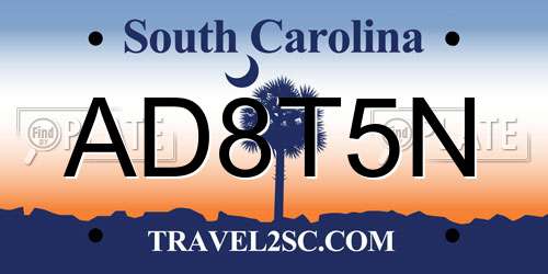 AD8T5N South Carolina License Plate