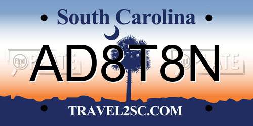 AD8T8N South Carolina License Plate