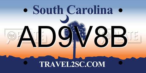 AD9V8B South Carolina License Plate