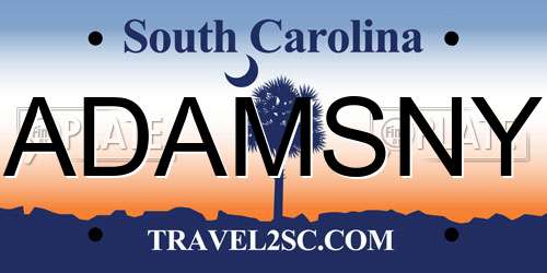 ADAMSNY South Carolina License Plate