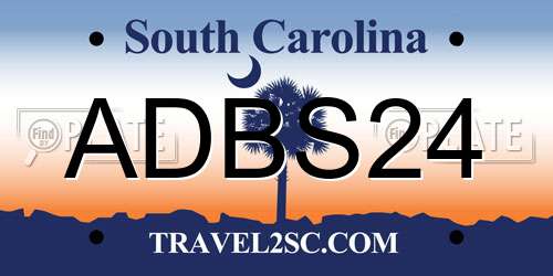 ADBS24 South Carolina License Plate