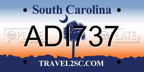 ADI737 South Carolina License Plate