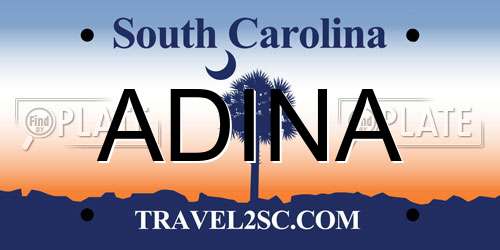 ADINA South Carolina License Plate