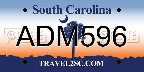 ADM596 South Carolina License Plate