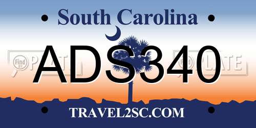 ADS340 South Carolina License Plate
