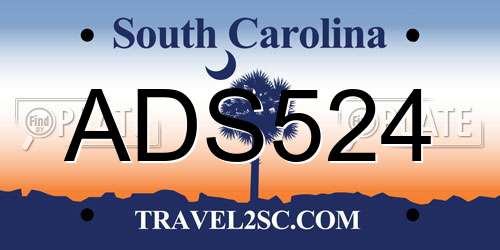 ADS524 South Carolina License Plate
