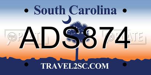 ADS874 South Carolina License Plate