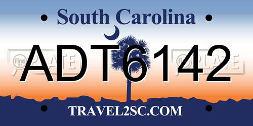 ADT6142 South Carolina License Plate