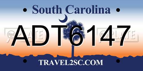 ADT6147 South Carolina License Plate