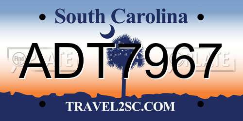 ADT7967 South Carolina License Plate