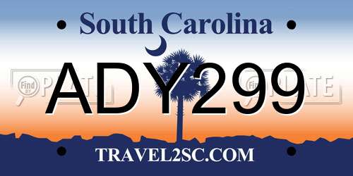 ADY299 South Carolina License Plate