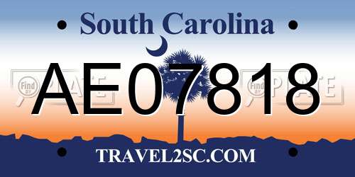 AE07818 South Carolina License Plate